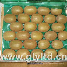 Fruit exporté de kiwi vert frais chinois de qualité